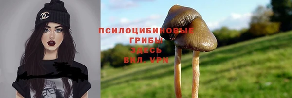мет Аркадак
