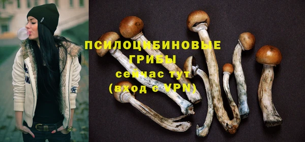 не бодяженный Армянск