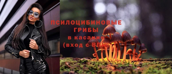 ECSTASY Арсеньев