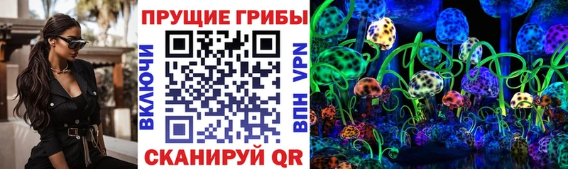 Купить где  Белорецк  Псилоцибиновые грибы GOLDEN TEACHER 